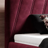 Gulta Calypso  “Dream Collection”