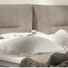 Gulta Fog  “Dream Collection”