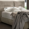 Gulta Fog  “Dream Collection”