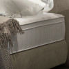 Gulta Fog  “Dream Collection”