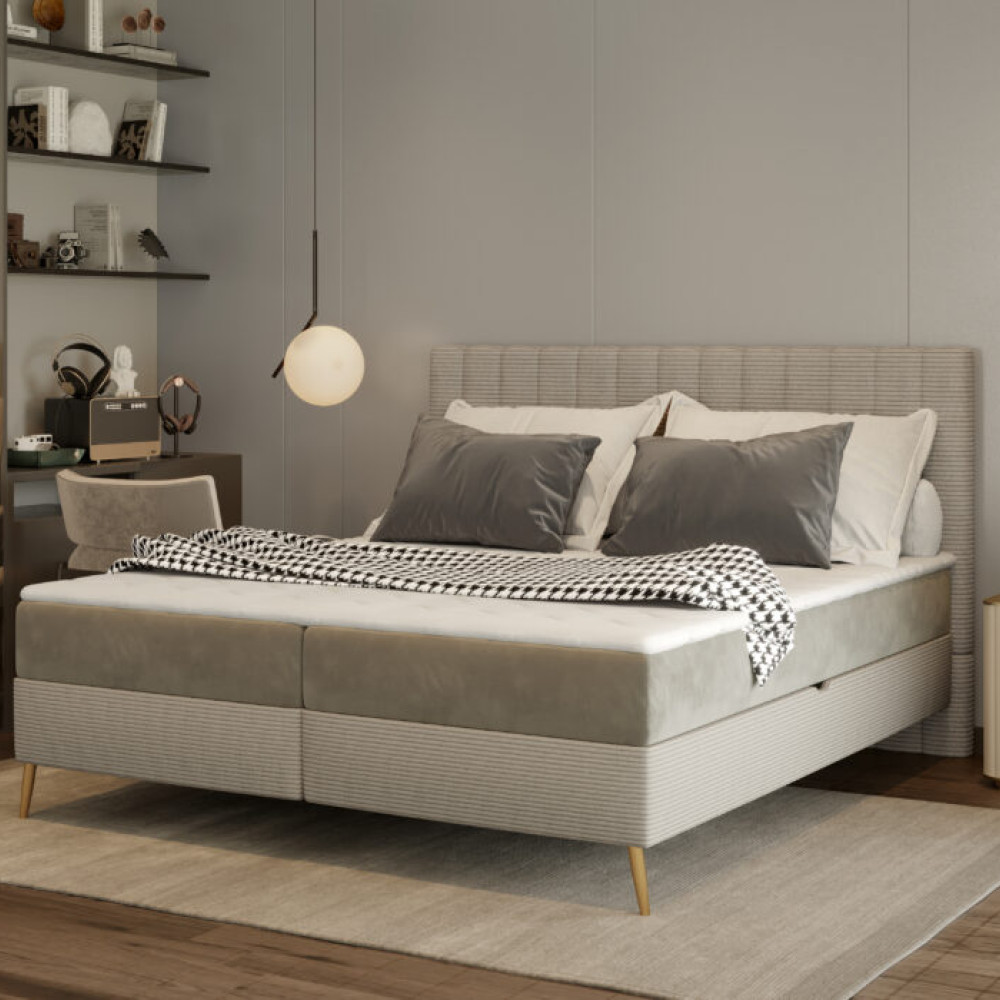 Gulta Cindy  “Dream Collection”