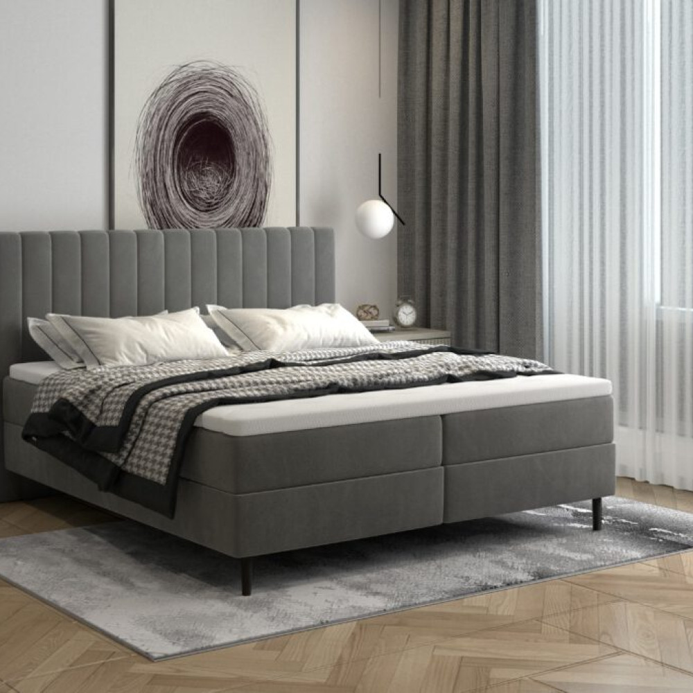 Gulta Tango  “Dream Collection”