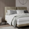 Gulta Selene  “Dream Collection”