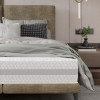 Gulta Selene  “Dream Collection”