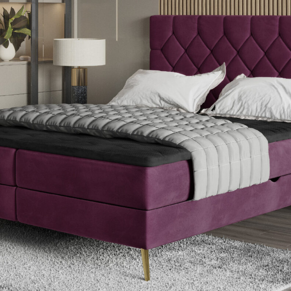Gulta Lara  “Dream Collection”