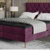 Gulta Lara  “Dream Collection”