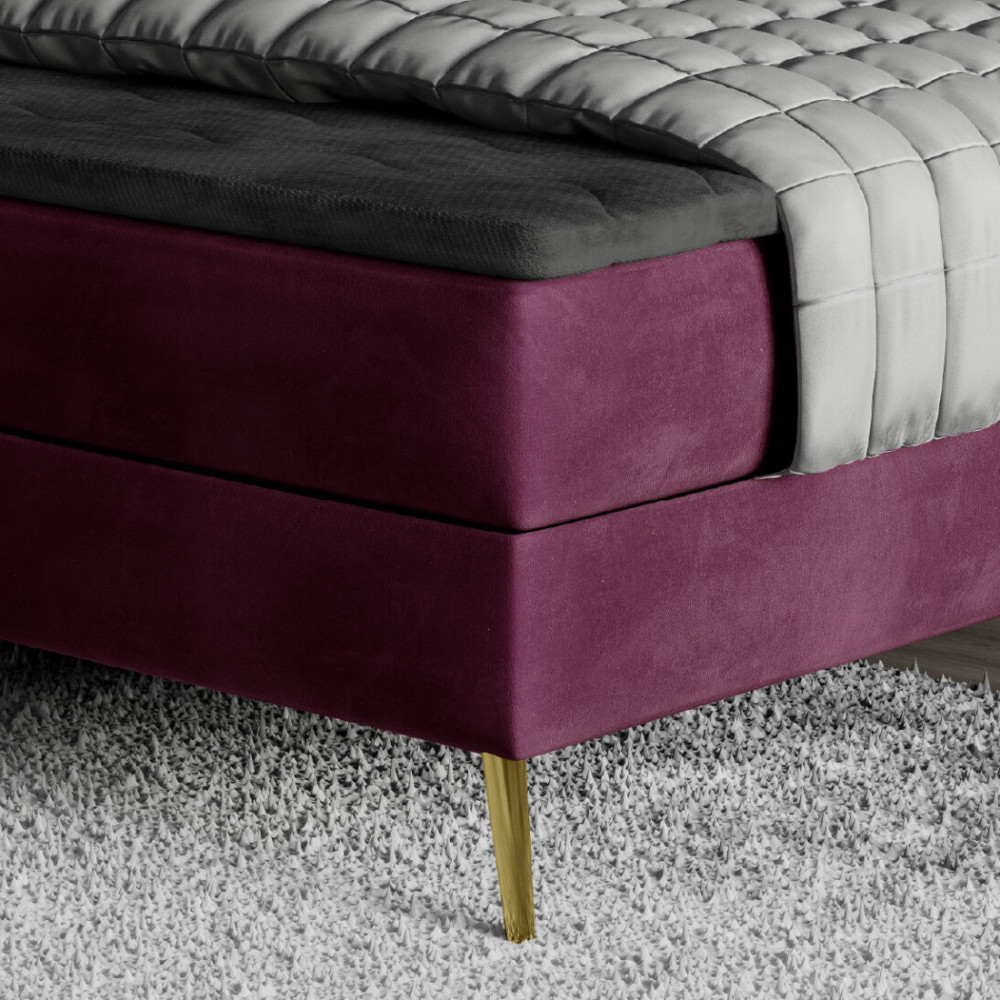 Gulta Lara  “Dream Collection”