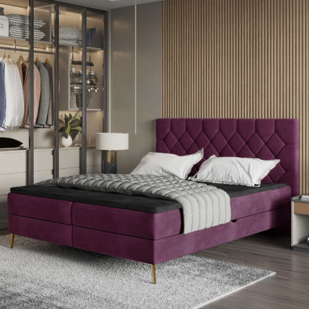 Gulta Lara  “Dream Collection”