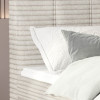 Sydney gulta no "Box springs Collection"